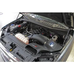 Układ dolotowy Momentum GT Cold Air Intake System w/Pro 5R Filter Media | Ford F-150 | 5.0 | 2015-2020