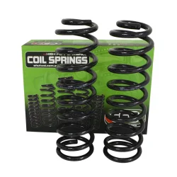 Sprężyny EFS tylne wzmocnione lift +2" Dodge RAM 1500 01/2019+ 250-500KG